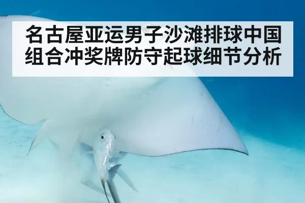名古屋亚运男子沙滩排球中国组合冲奖牌防守起球细节分析